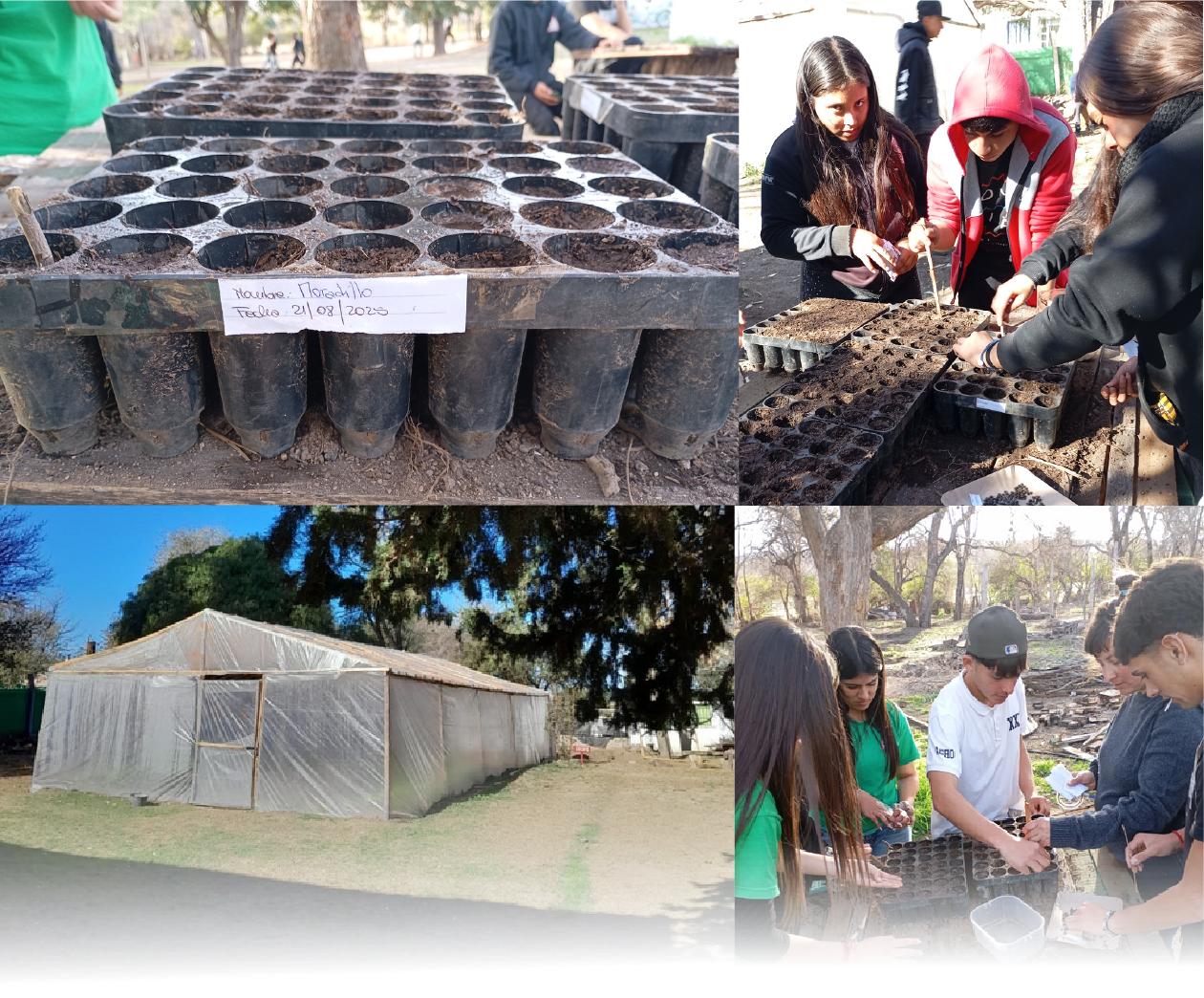 Plan de Forestación